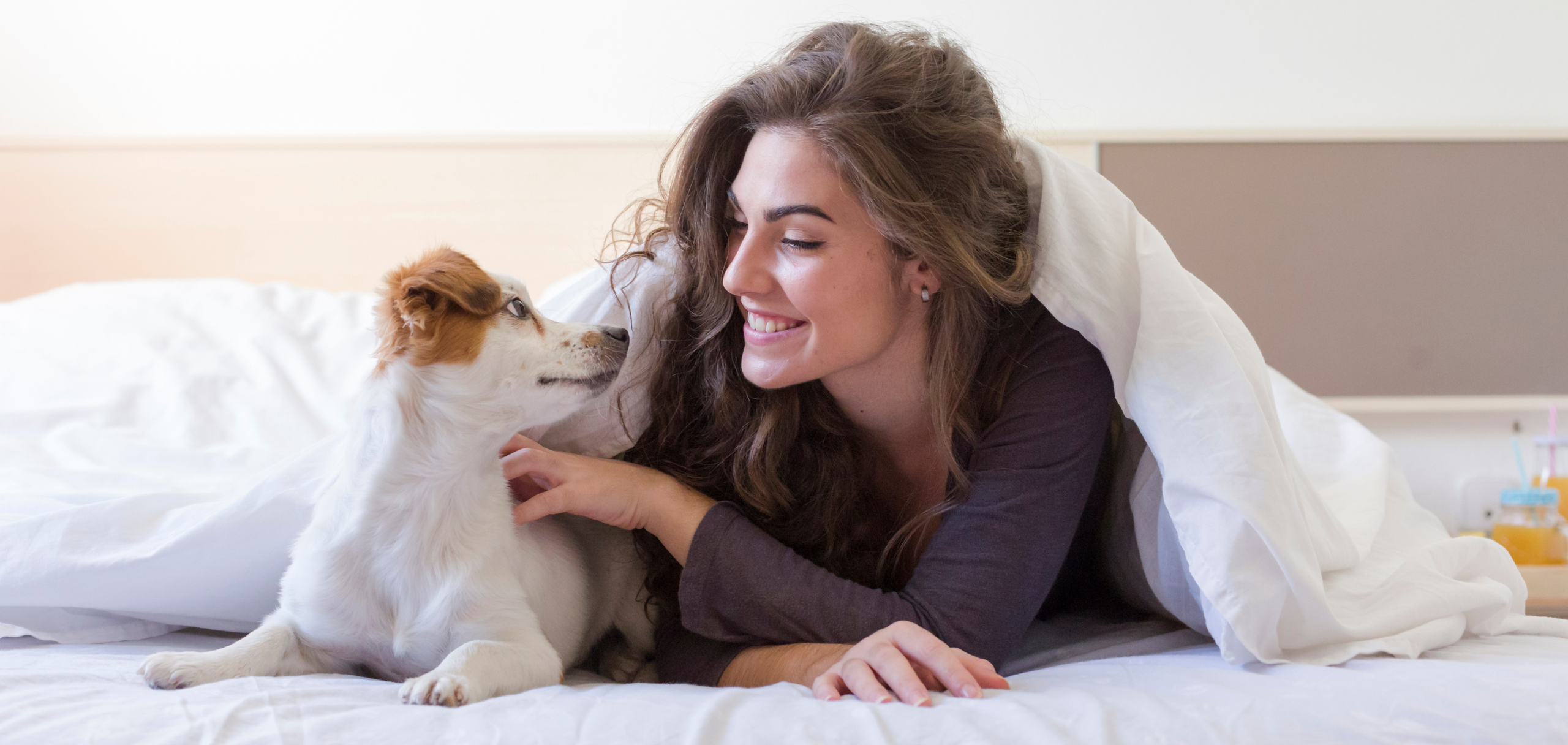Plush Purr™ | Cozy Comfort Winter Warm Beds for Happy Pets